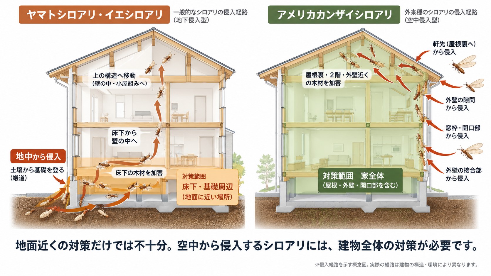 一般的なシロアリ（地下侵入型）とアメリカカンザイシロアリ（空中侵入型）の侵入経路を断面図で比較。在来種は地面から床下を経由して侵入するため対策範囲は床下・基礎付近に限られるが、アメリカカンザイシロアリは軒先・外壁・窓枠の隙間など空中から家全体に侵入するため、家全体（屋根・外壁・開口部）の対策が必要。