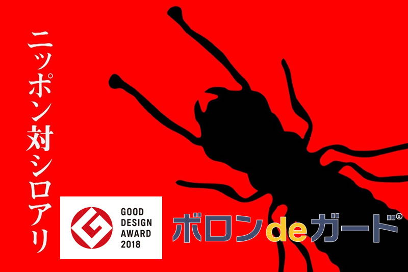 カンザイシロアリ